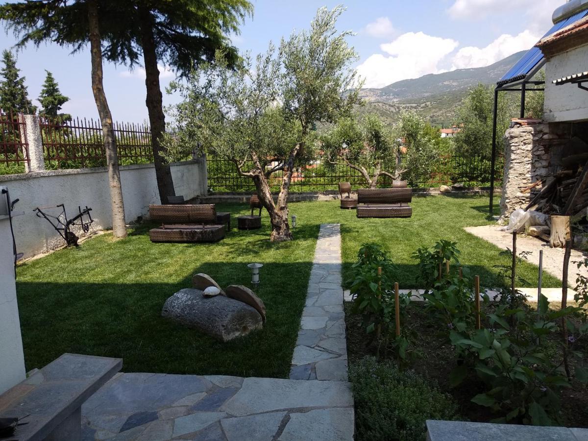 Villa Agnanti Apts And Suites Agio Pnevma Buitenkant foto