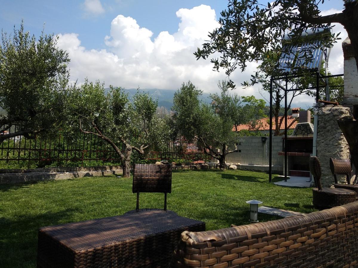 Villa Agnanti Apts And Suites Agio Pnevma Buitenkant foto