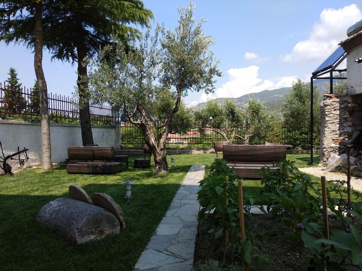 Villa Agnanti Apts And Suites Agio Pnevma Buitenkant foto